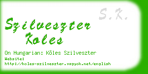 szilveszter koles business card